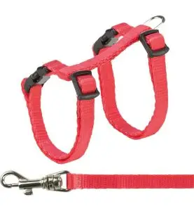 Jolly Paw Kattesele m. Line Sele: 19-31 cm/8 mm, Line: 1,2 m Assorteret