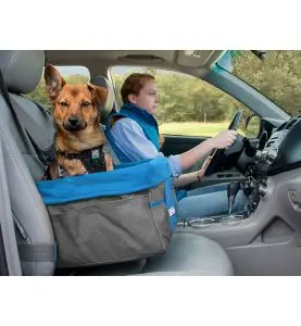 https://sw5502.smartweb-static.com/upload_dir/shop/Kurgo_HeatherBooster_DollarDog.jpg