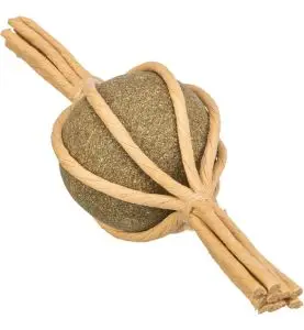 Trixie Candy Rangle m. Katteurt