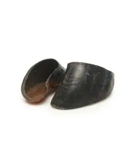 Natural Dog Chews Bøffelklov 1 stk.