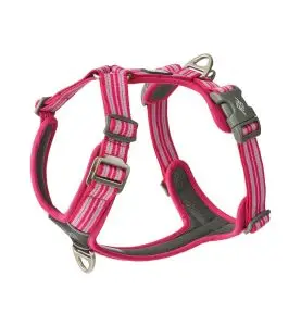 Dog Copenhagen Sele Comfort Walk Air Ny Wild Rose