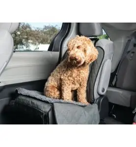 Dirty Dog Sædeovertræk 145,5x45 cm Grå