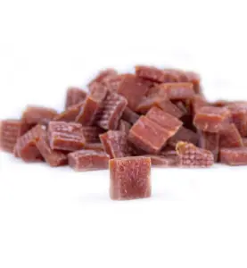 Snack'it Filettrainer Struds 100g