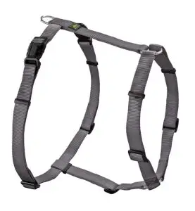 https://sw5502.smartweb-static.com/upload_dir/shop/graa-1.jpg