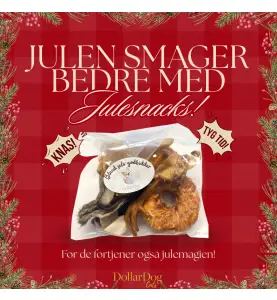 Hundens Julefavoritter – Julesnackpose