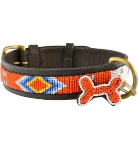 Kampuni Halsbånd Cimaroon Orange