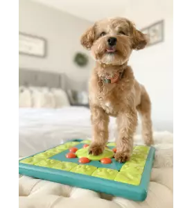 Nina Ottosson Multipuzzle Blå SV4