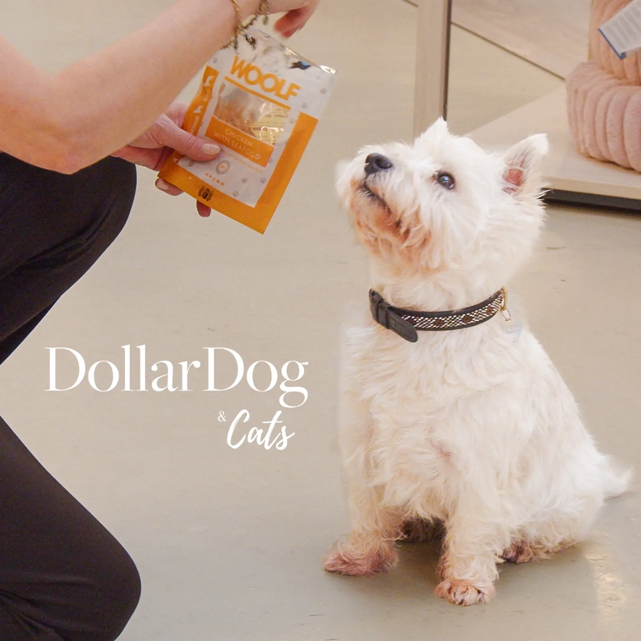 Hundegodbidder & Snacks